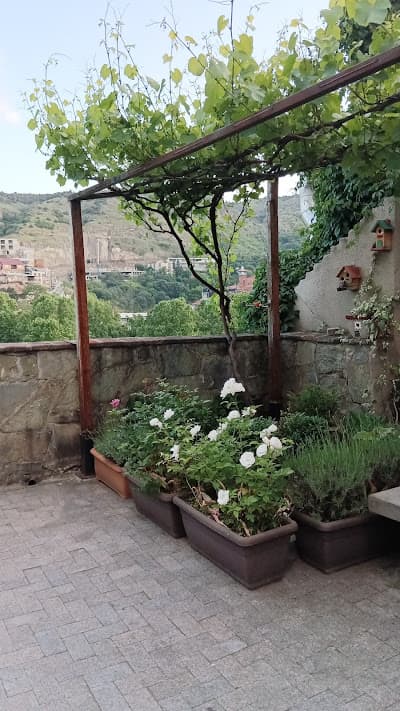 Gallery Image 20
